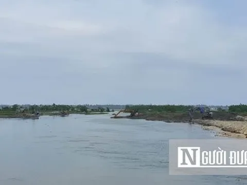 Thông tin mới vụ rừng trồng ngập mặn bị san ủi ở Thừa Thiên-Huế