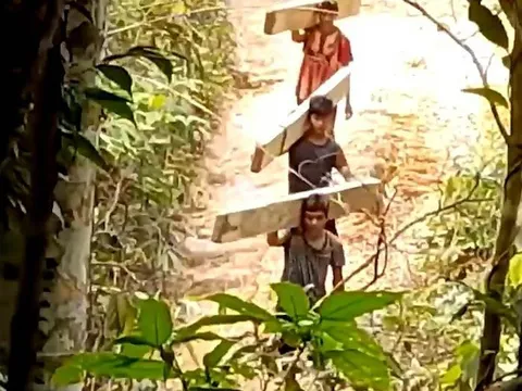 Huế quyết liệt truy quét các “đầu nậu” buôn bán gỗ lậu, động vật rừng