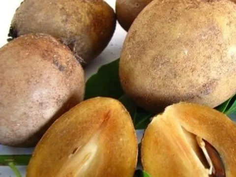 Ăn nhiều hồng xiêm có tốt không?