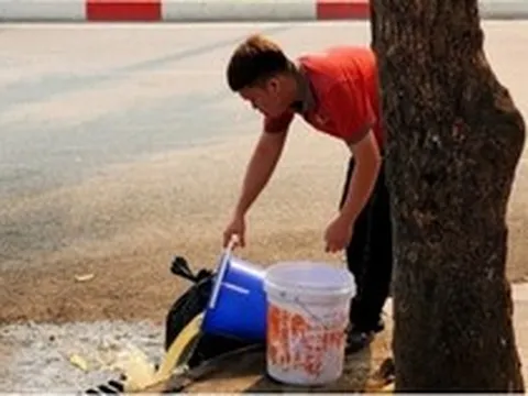 Hàng quán tại Hà Nội vô tư xả rác, thức ăn thừa xuống cống thoát nước