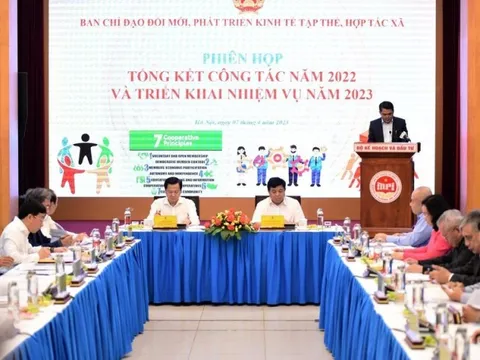 Lợi nhuận bình quân của các hợp tác xã tăng hơn 70% trong năm 2022