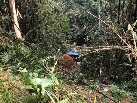 Xe bán tải va chạm xe bồn khiến cả hai cùng lao xuống vực sâu 25m