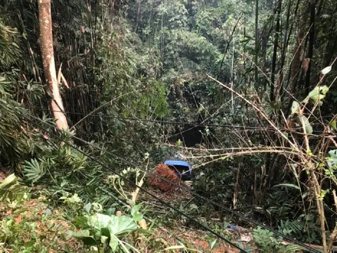 2 xe ôtô lao xuống vực sâu sau va chạm, tài xế nhảy khỏi xe thoát thân