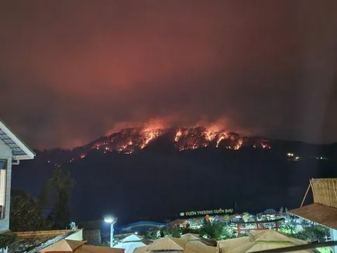 Lâm Đồng: Cháy rừng lớn trên đèo Prenn