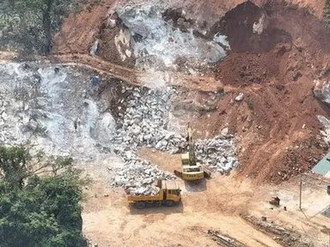 Loay hoay xử lý doanh nghiệp nhập trâu, bò lấn chiếm 1.600m2 đất