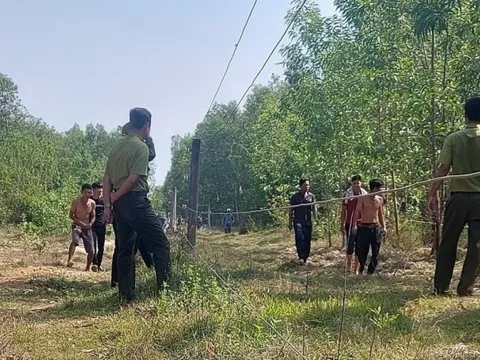 Đồng Nai: Một người dân bị voi rừng tấn công trong lúc đi chăn bò