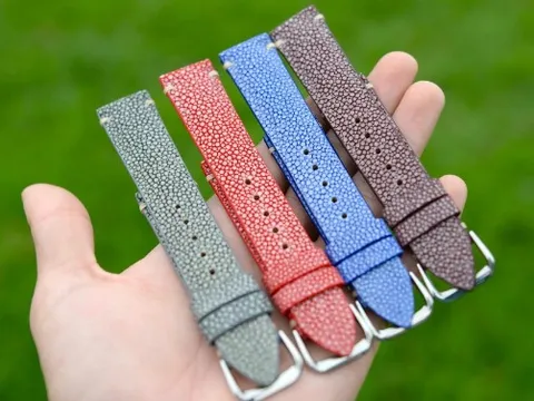 5 sự thật về dây đồng hồ da cá đuối, giá bán, nơi mua uy tín