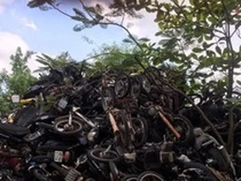 TPHCM thanh lý xe máy vi phạm với giá hơn 1,2 triệu đồng/chiếc