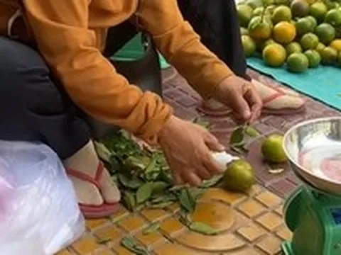 Cảnh tượng dùng keo dán cuống hoa quả ở chợ gây tranh cãi: Dán cho đẹp hay đang lừa dối khách hàng?