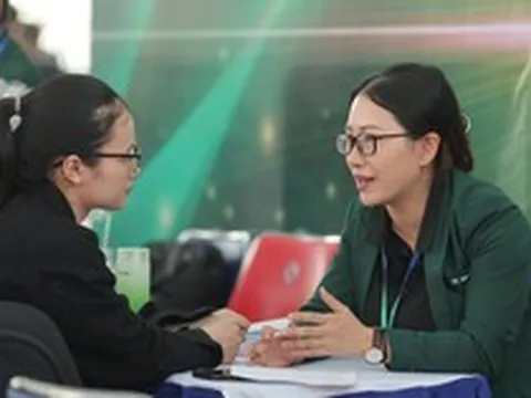Phần lớn người lao động tìm việc hơn 20 triệu đồng/tháng