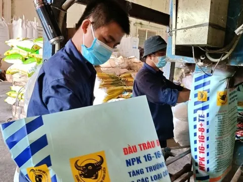 Phân bón Bình Điền “cài số lùi” lợi nhuận, dự báo tiếp tục gặp khó