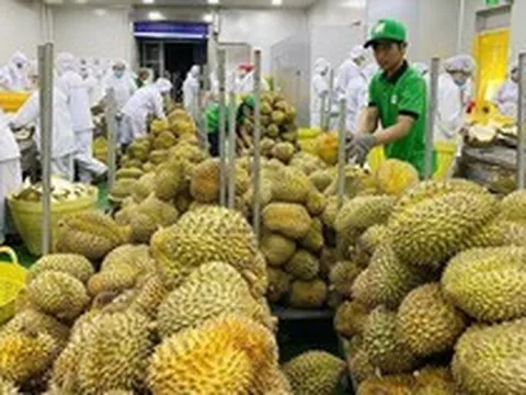 Bài toán xuất khẩu nông sản Việt nhìn từ kinh nghiệm Thái Lan: Thiếu hệ sinh thái từ doanh nghiệp, chuyên gia đến đội ngũ xúc tiến hỗ trợ người nông dân