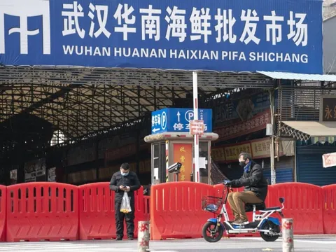 Nguồn gốc COVID-19: Trung Quốc công bố dữ liệu giật mình từ chợ Vũ Hán