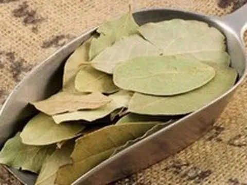 Một loại lá cây dân dã của Việt Nam đắt hàng tại nước ngoài, xuất khẩu tăng đột biến hơn 5.000% và công dụng đặc biệt ít người biết