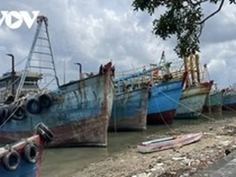 Đánh bắt thua lỗ nhiều ngư dân ở Bà Rịa – Vũng Tàu rao bán tàu