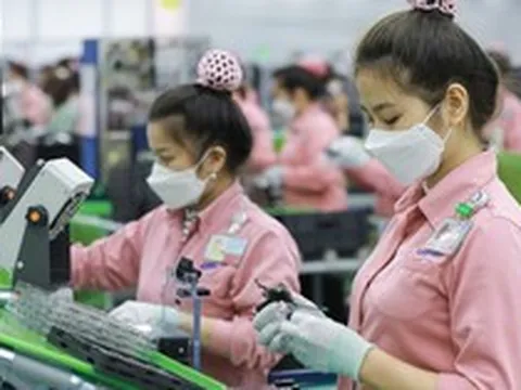 Đánh giá toàn diện tác động của thuế suất tối thiểu toàn cầu đối với Việt Nam