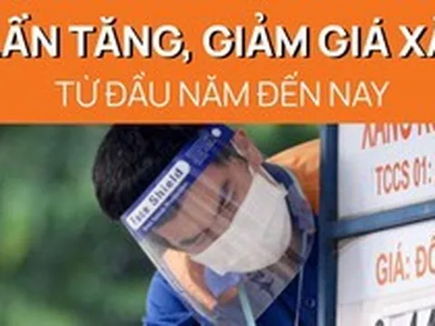 10 lần tăng, giảm giá xăng từ đầu năm đến nay