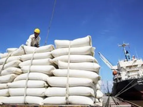 Xuất khẩu một mặt hàng chủ lực của Việt Nam trong tháng 3/2023 tăng đột biến 93,5% so với 2022, thu về gần 509 triệu USD, Trung Quốc và Philipines ồ ạt mua vào