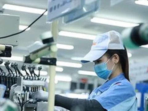 Áp thuế tối thiểu toàn cầu tại Việt Nam: Tránh việc 'làm cho người khác hưởng'