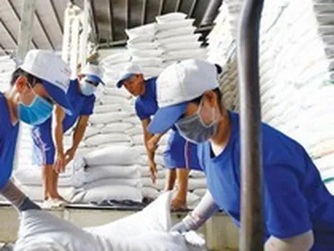 Giá gạo Việt Nam xuất khẩu cao nhất trong 10 năm
