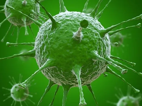 WHO: Trung Quốc ghi nhận ca tử vong vì cúm H3N8 đầu tiên trên thế giới