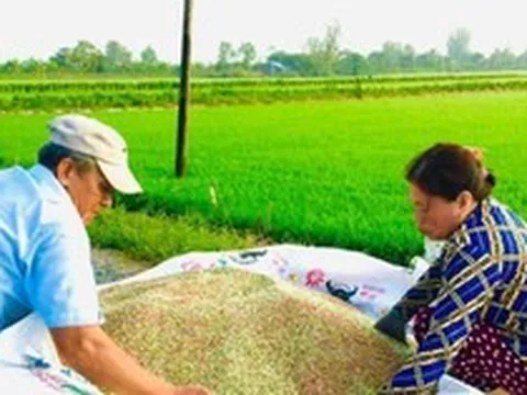 Giá phân bón giảm thấp nhất trong 2 năm qua