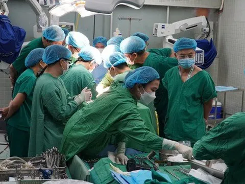 Hiến tạng, ráp nối sự sống