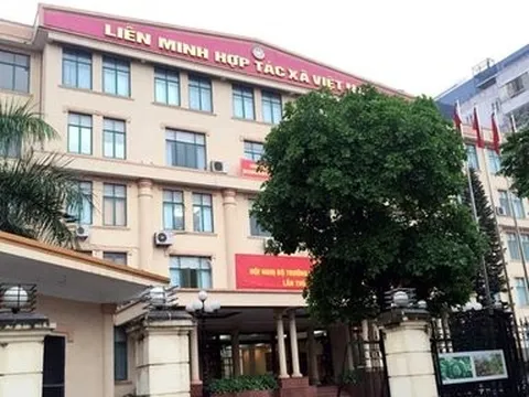 Đảng đoàn Liên minh HTX Việt Nam vi phạm các nguyên tắc của Đảng