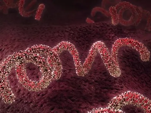 Mỹ báo động về bệnh giang mai tăng mạnh nhất trong vòng 70 năm qua