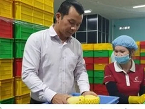 Xuất khẩu nông sản chính ngạch sang Trung Quốc, khó vẫn phải làm