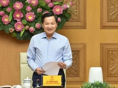 Lập Tổ công tác đặc biệt về thuế tối thiểu toàn cầu