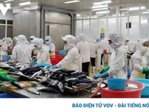 Xuất khẩu thủy sản quý 1/2023 sụt giảm do đâu?