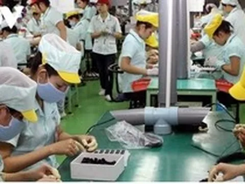 Rút BHXH một lần, NLĐ tự tước quyền an sinh cơ bản của chính mình