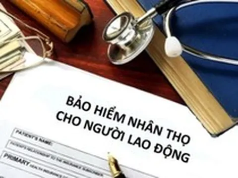 Đề nghị lập đường dây nóng để xử lý phản ánh của khách hàng về bảo hiểm nhân thọ