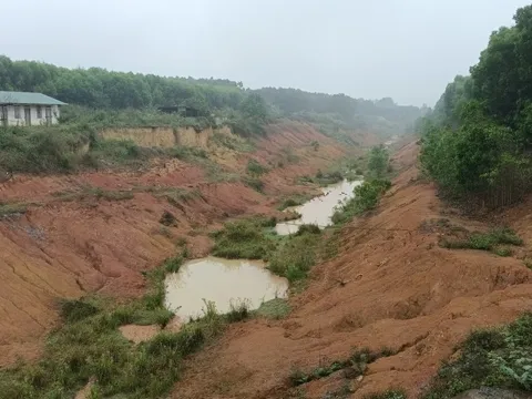 CLIP: Kênh tiêu hơn 750 tỉ đồng chưa bàn giao đã hư hỏng, sạt lở