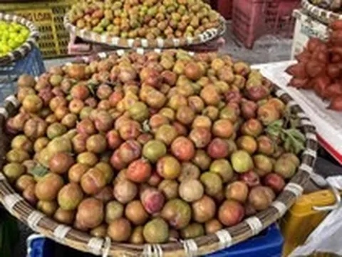 'Chợ mạng' rao bán 200.000 đồng/kg mận Mộc Châu