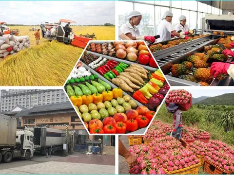 Tháo gỡ khó khăn, vướng mắc thúc đẩy sản xuất, tiêu thụ nông sản