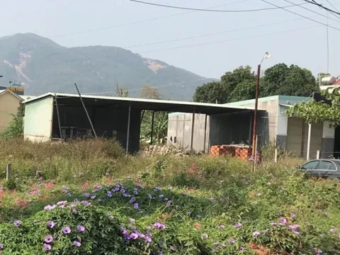 Chiếm đất của dân, một trưởng phòng ở Bình Định bị kỷ luật