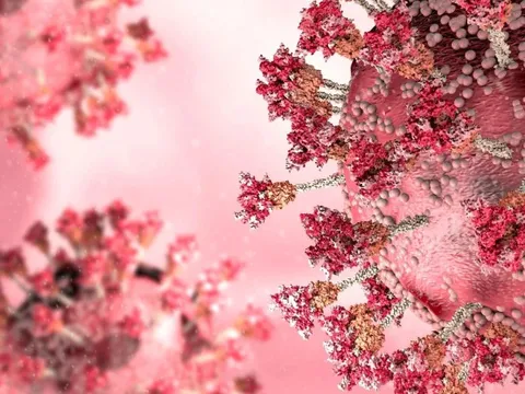 Chuyên gia bác thông tin XBB.1.16 gây triệu chứng mới ở trẻ nhỏ