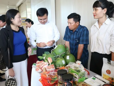 Đưa hàng OCOP đến gần người tiêu dùng