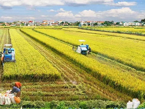 Việt Nam là nhà cung cấp lương thực minh bạch, trách nhiệm