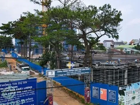 Lý do Công ty CP Chè Lâm Đồng bị phạt 320 triệu đồng