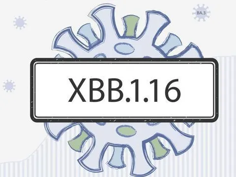 Những điều cần biết về biến thể XBB.1.16 đang gia tăng tại Châu Á