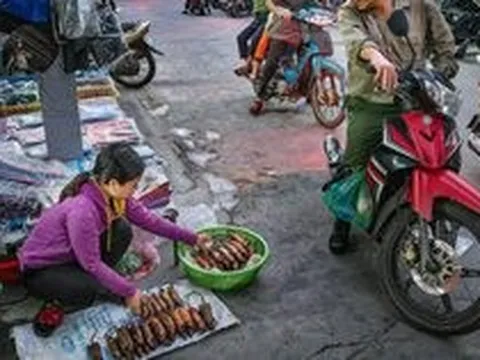 Tạp chí Mỹ ấn tượng mạnh với đặc sản "ít ai dám ăn" ở Việt Nam: Món khoái khẩu của dân địa phương, vào vụ mùa cả làng cùng "đi săn" mới kịp bán