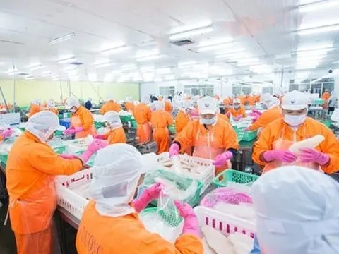 Lợi nhuận của Thuỷ sản Nam Việt lao dốc