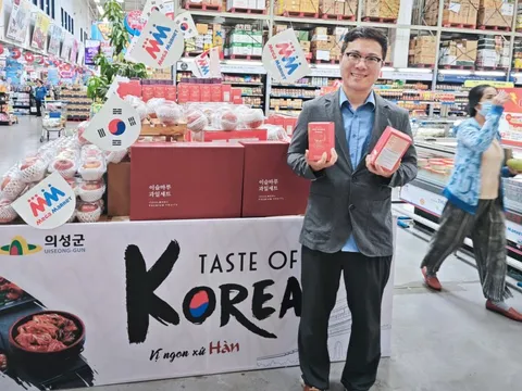 Nho, táo, dâu tây đổ bộ Việt Nam theo “trend” Hàn Quốc