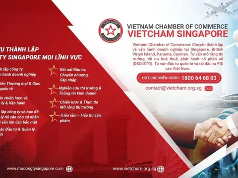 VietCham Singapore: Ra mắt chương trình hỗ trợ doanh nhân Việt tại nước ngoài