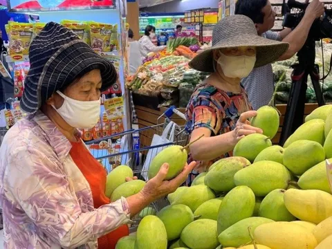 Xoài Đồng Tháp đã có mặt tại các siêu thị cả nước