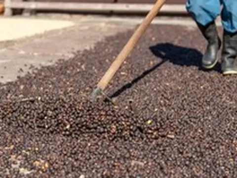 Một mặt hàng xuất khẩu sang Thái Lan bất ngờ tăng nóng 255% trong quý 1, Việt Nam sản xuất gấp 62 lần so với xứ chùa Vàng