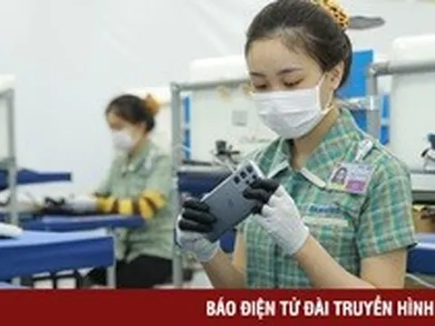 Cấp bách tìm đối sách với thuế tối thiểu toàn cầu